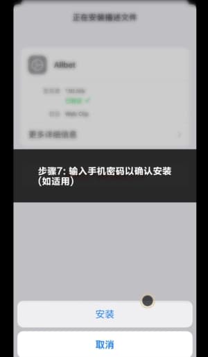 苹果内测沙盒受信任环境赛事切片调阅授权教程7